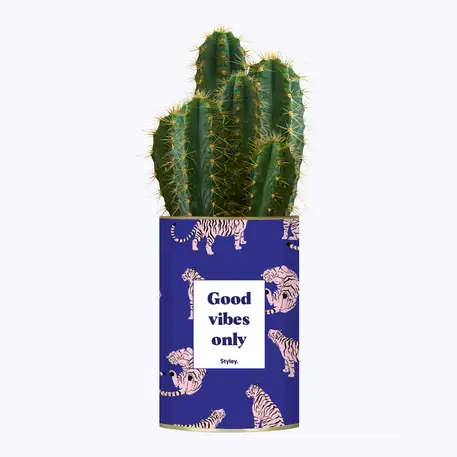 Goods vibes only