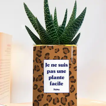 Pas une plante facile