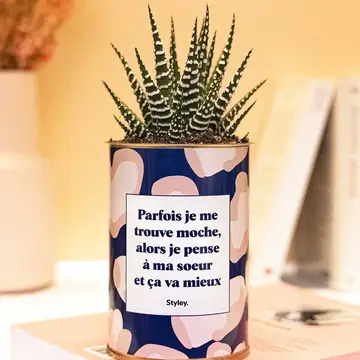 Soeur moche
